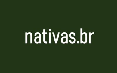 web-série nativas.br